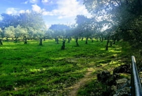 Villasbuenas de Gata 1500000&nbsp;m²