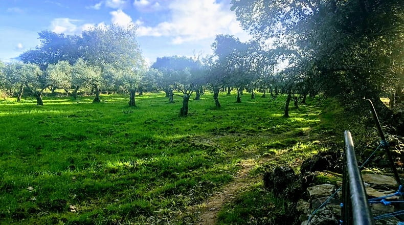 Caceres - Villasbuenas de Gata - 1500000m2