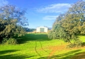 Non-developable land for sale on Polígonos 9 y 12, Villasbuenas de Gata, ref: TR187008 photo