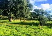 Non-developable land for sale on Polígonos 9 y 12, Villasbuenas de Gata, ref: TR187008 photo