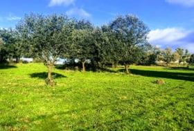 Villasbuenas de Gata 1500000&nbsp;m²