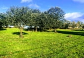 Non-developable land for sale on Polígonos 9 y 12, Villasbuenas de Gata, ref: TR187008 photo