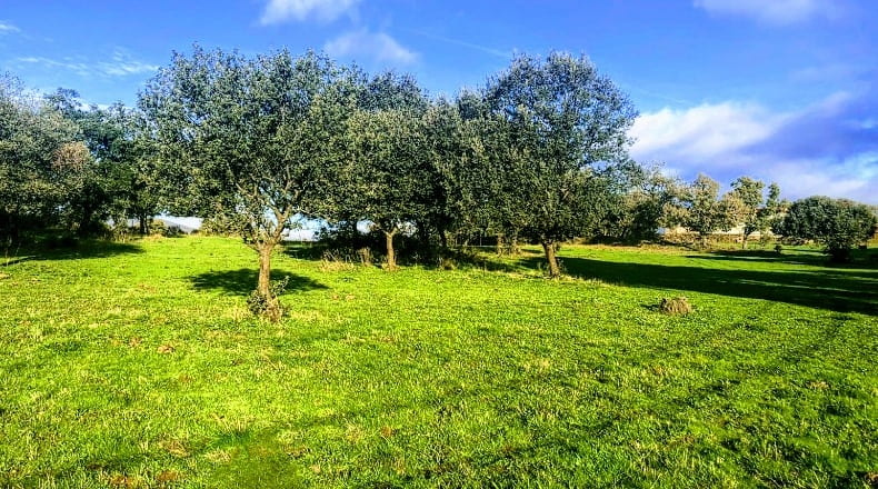 Caceres - Villasbuenas de Gata - 1500000m2