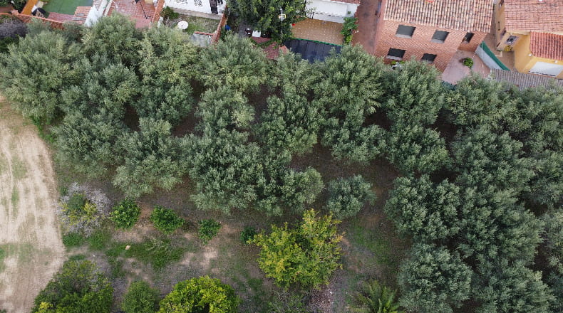 Tarragona - Albinyana - 1200m2