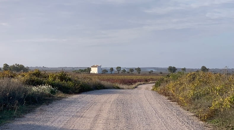 Cuenca - San Clemente - 2000000m2