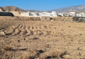 Land suitable for development for sale on Ctra. Adra, Berja, ref: TR187806 photo