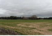 Non-developable land for sale on Polígono 9, San Román de Hornija, ref: TR188852 photo