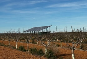 Barrax 75000&nbsp;m² 