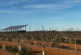 Barrax 75000&nbsp;m² 