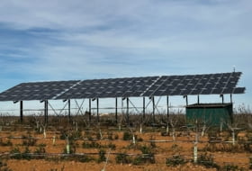 Barrax 75000&nbsp;m² 