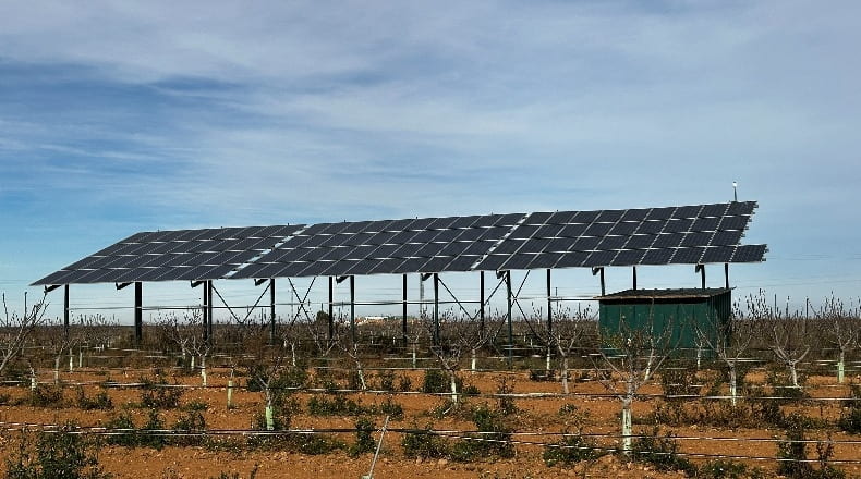 Albacete - Barrax - 75000m2