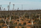 Участок с солнечной установкой на продажу в городе Barrax Фото