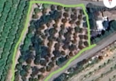 Non-developable land for sale on Camino de la Cova Fumada, Picassent, ref: TR190946 photo