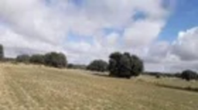 Ávila - Ávila - 7715m2