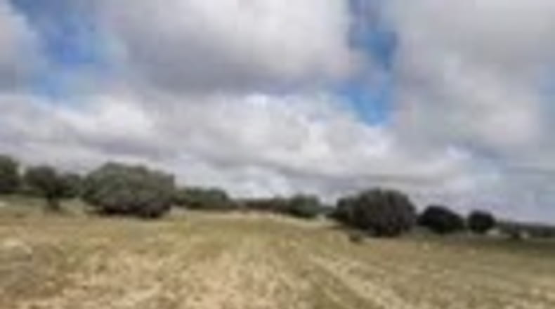 Ávila - Ávila - 7715m2