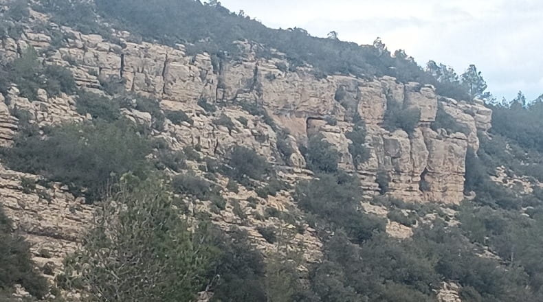 Valencia - Chelva - 182000m2