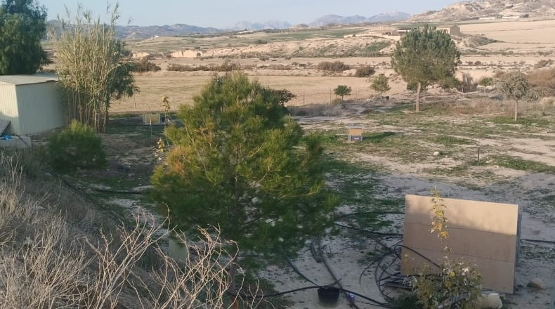 Murcia - Lorca - 20000m2