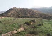 Non-developable land for sale on Parcela 88 MAS DE FLIX. FLIX, La Granadella, ref: TR201892 photo