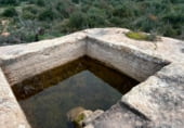 Non-developable land for sale on Parcela 88 MAS DE FLIX. FLIX, La Granadella, ref: TR201892 photo