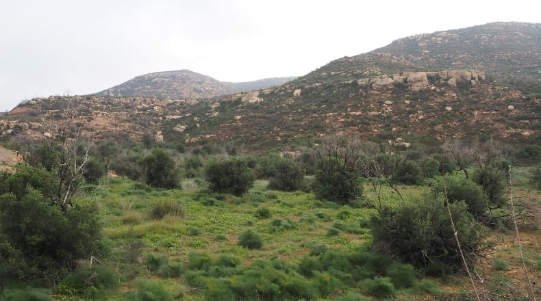 Lérida - La Granadella - 32000m2