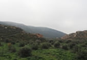 Non-developable land for sale on Parcela 88 MAS DE FLIX. FLIX, La Granadella, ref: TR201892 photo