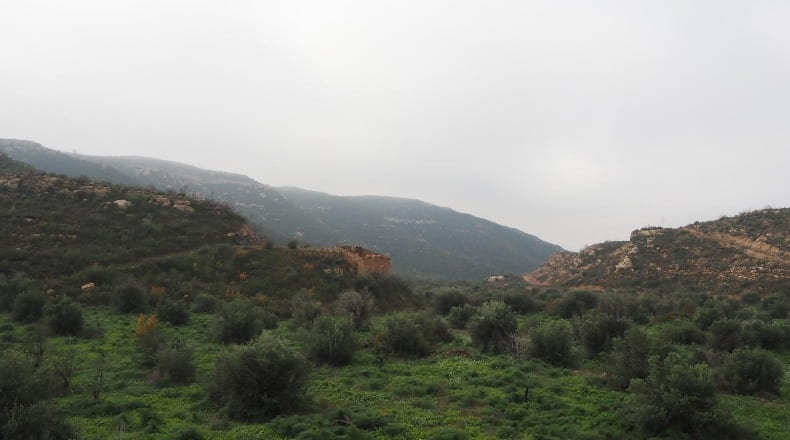 Lérida - La Granadella - 32000m2