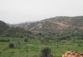 Non-developable land for sale on Parcela 88 MAS DE FLIX. FLIX, La Granadella, ref: TR201892 photo