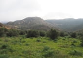 Non-developable land for sale on Parcela 88 MAS DE FLIX. FLIX, La Granadella, ref: TR201892 photo