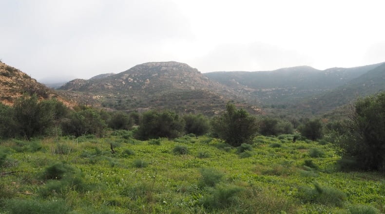 Lérida - La Granadella - 32000m2