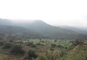 Non-developable land for sale on Parcela 88 MAS DE FLIX. FLIX, La Granadella, ref: TR201892 photo