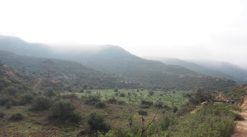 Lérida - La Granadella - 32000m2