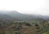Non-developable land for sale on Parcela 88 MAS DE FLIX. FLIX, La Granadella, ref: TR201892 photo