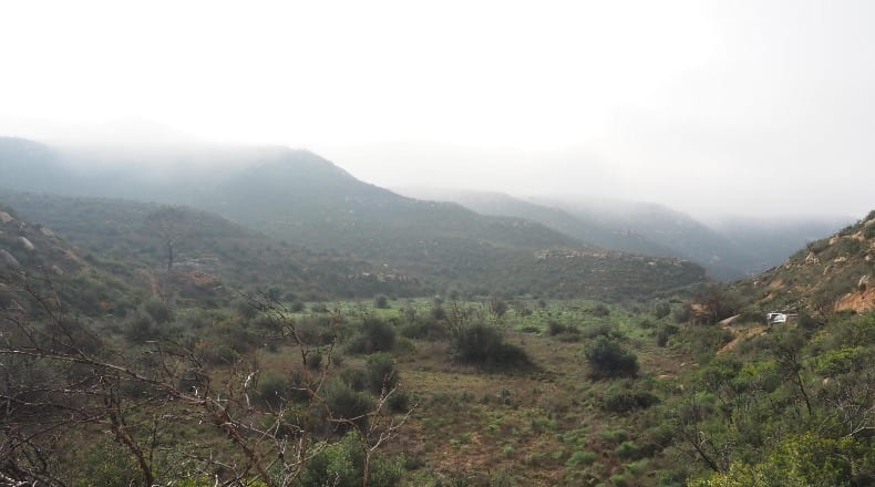 Lérida - La Granadella - 32000m2