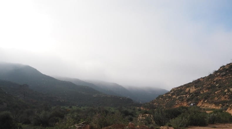 Lérida - La Granadella - 32000m2
