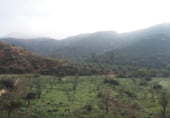 Non-developable land for sale on Parcela 88 MAS DE FLIX. FLIX, La Granadella, ref: TR201892 photo