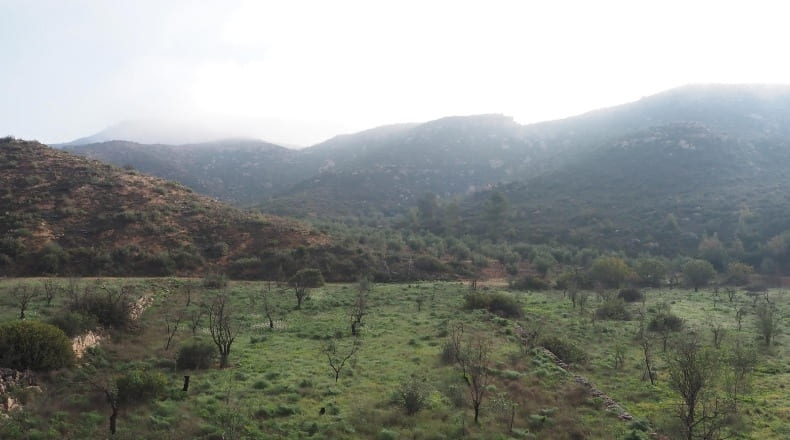 Lérida - La Granadella - 32000m2