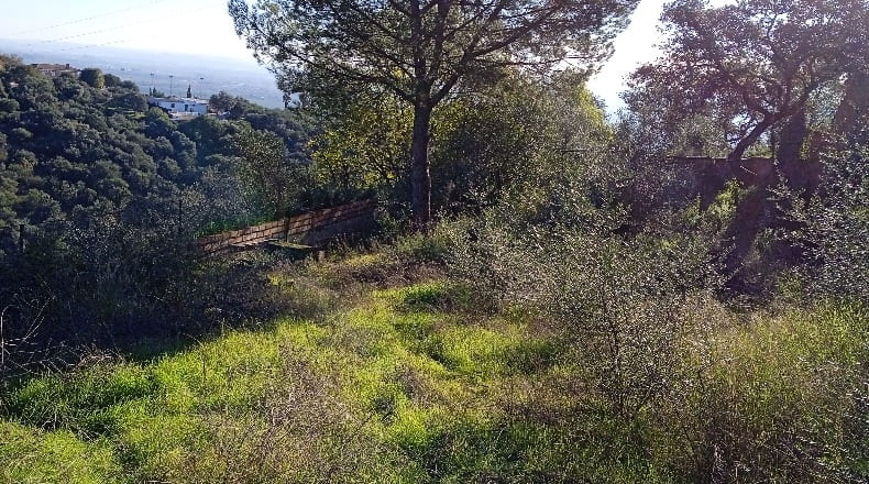 Córdoba - Almodóvar del Río - 6600m2