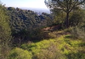 Sòl urbà en venda a la URB LA CIGARRA BAJA, Almodóvar del Río, ref.: TR202035 foto