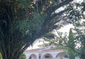 Xalet independent amb terreny en venda a la CM-403, Piedrabuena, ref.: TR202142 foto