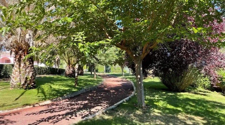 Ciudad Real - Piedrabuena - 4510000m2