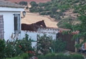 Xalet independent amb terreny en venda a la CM-403, Piedrabuena, ref.: TR202142 foto