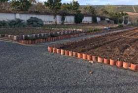 Foto 9