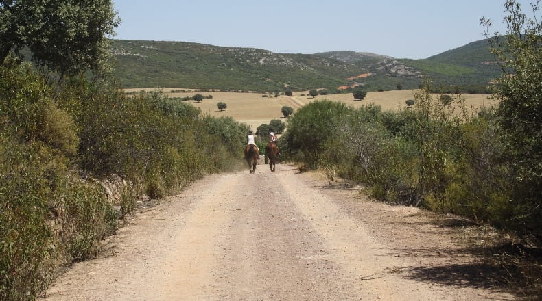 Ciudad Real - Piedrabuena - 4510000m2