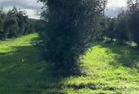 Foto 13