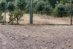 Foto 14