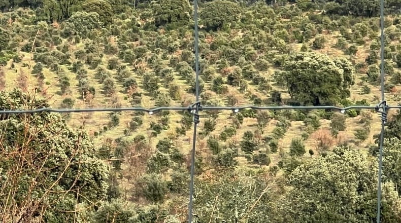 Ciudad Real - Piedrabuena - 4510000m2