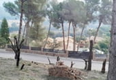 Parcel·la urbanitzable en venda a la Calle Camp del Turia, Pedreguer, ref.: TR202509 foto