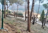 Parcel·la urbanitzable en venda a la Calle Camp del Turia, Pedreguer, ref.: TR202509 foto