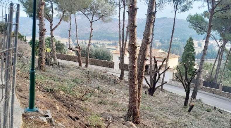 Alicante - Pedreguer - 1250m2