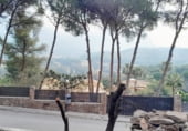 Parcel·la urbanitzable en venda a la Calle Camp del Turia, Pedreguer, ref.: TR202509 foto